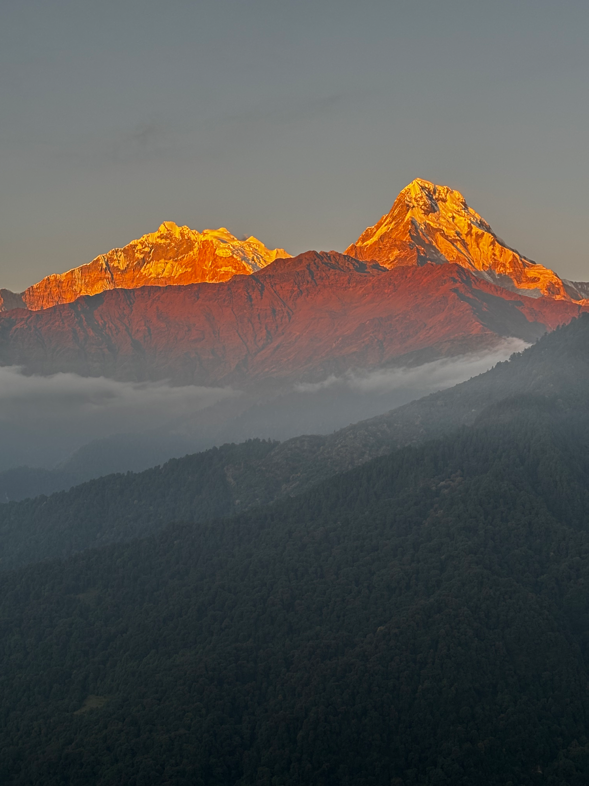 ANNAPURNA VIEW TREK photo 5